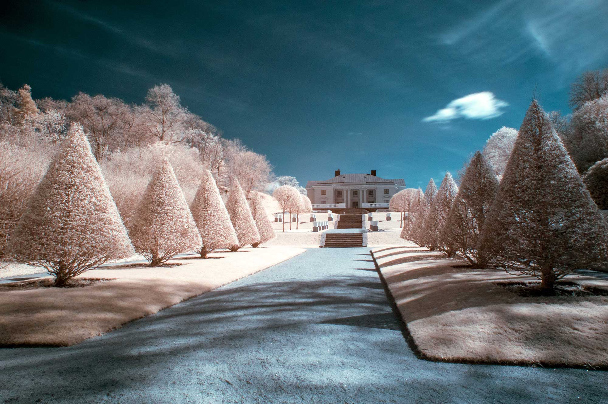 IR-foto