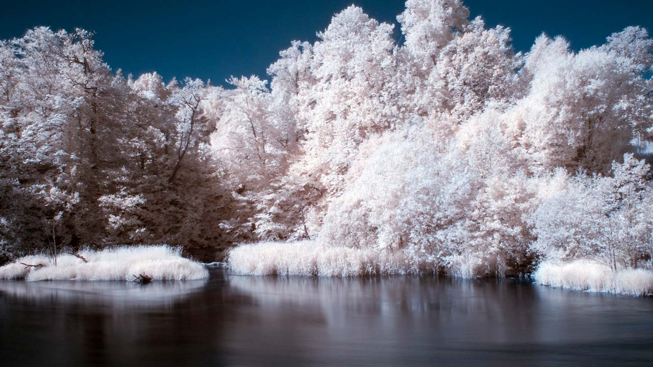 IR-foto
