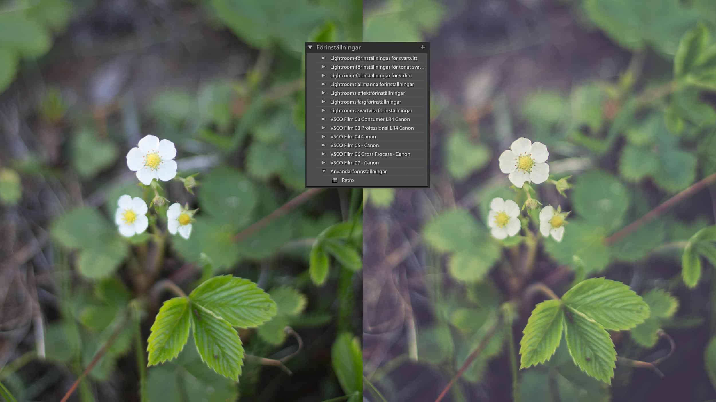Förinstallningar i Lightroom.