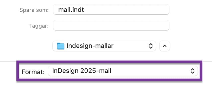 Skärmdump på dialogrutan "Spara som" i InDesign
