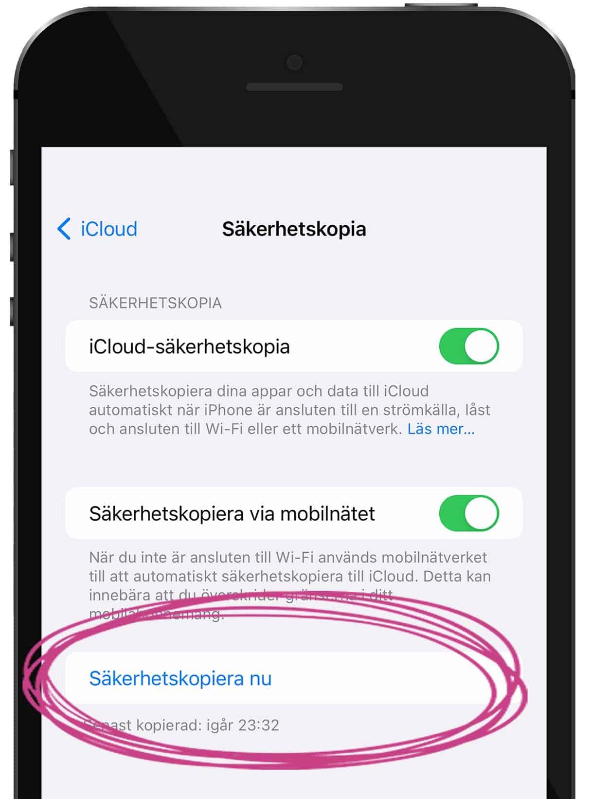 Skärmdump på en iphone som visar inställningar för säkerhetskopiering
