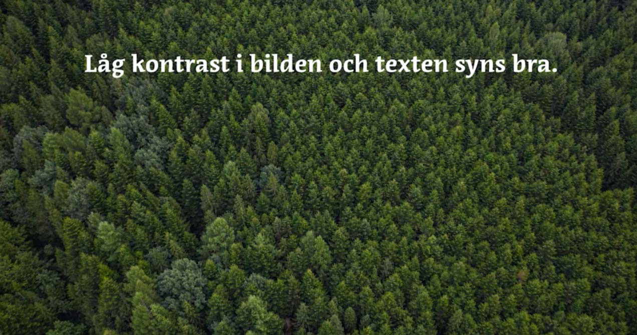 Bild ovanifrån på trädtoppar med texten: Låg kontrast i bilden och texten syns bra.