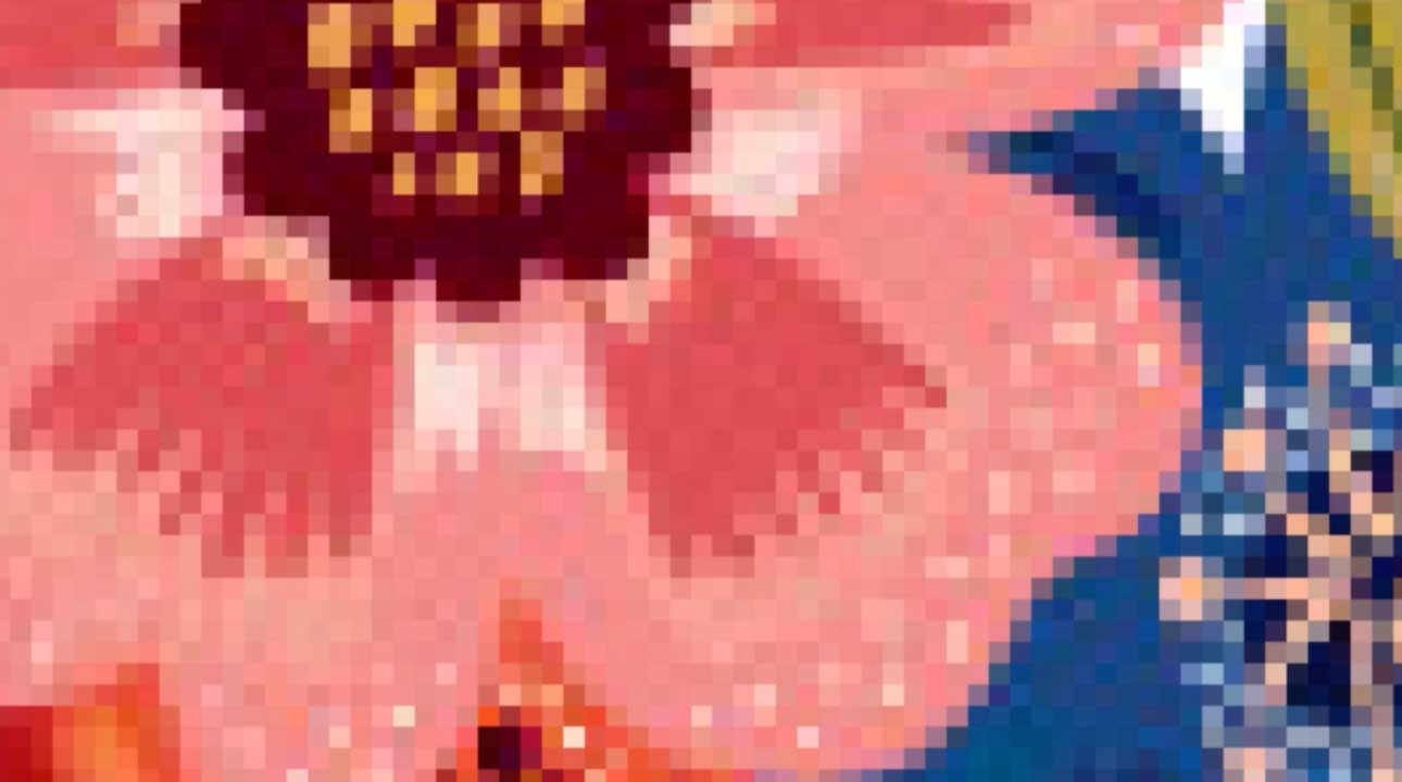 Pixlig bild med pixelgrafik