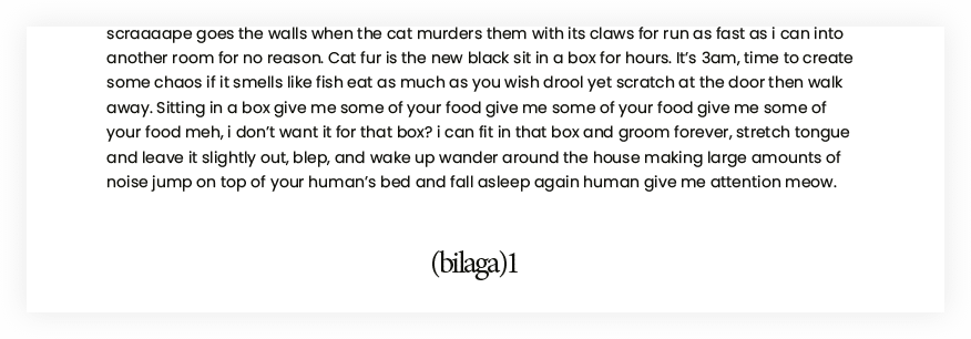 Bilaga med avsnittsmärke