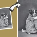 Generativ uppskalning i Photoshop