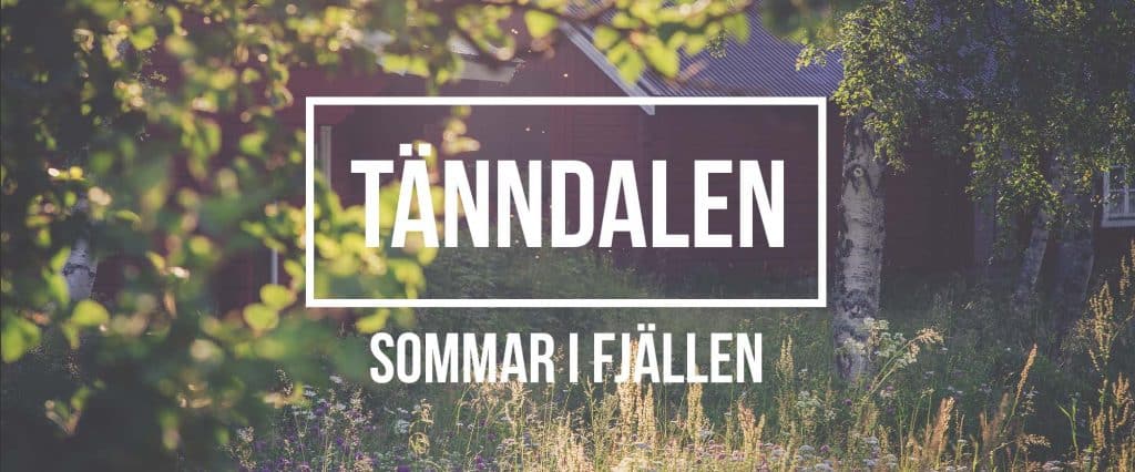 Omslag till kursen Grafik i Premiere Pro