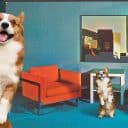 Harmonisera inklippta bilder i Photoshop