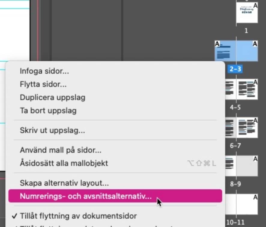 Numrering och avsnittsalternativ i Indesign