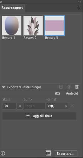 Skärmdump resursexportpanelen