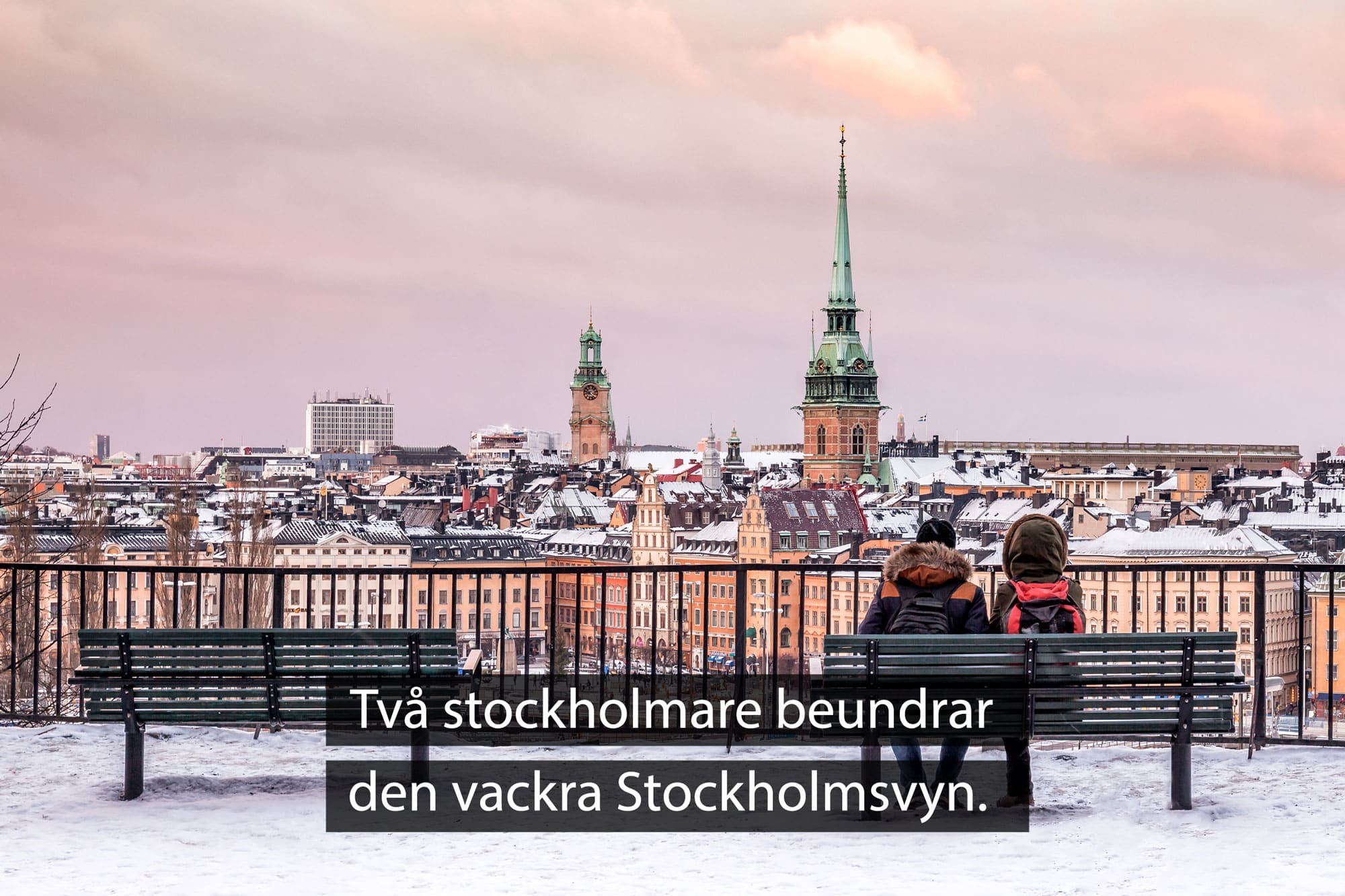 Vacker Stockholmsvy och stockholmare.