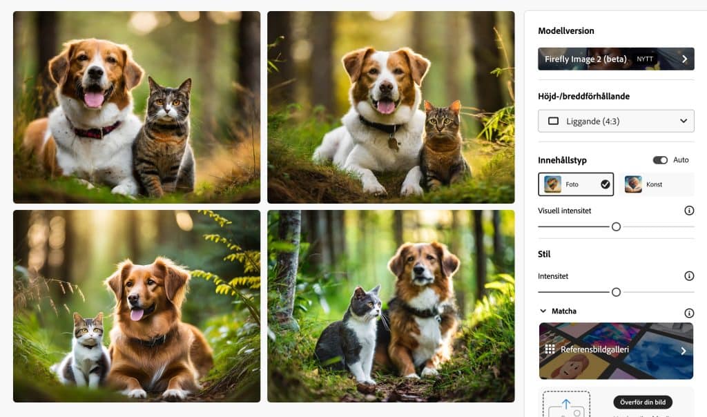 Skärmavbild från Adobe Firefly där AI genererat fyra olika bilder på en katt och hund i skogen, till höger finns inställningar för bilden