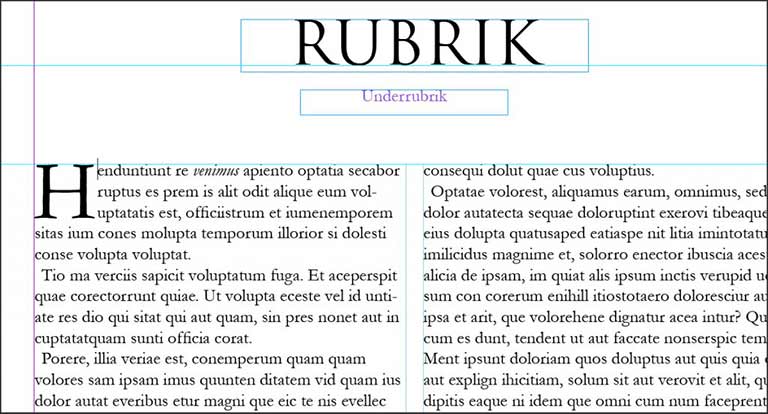 Skärmdump Indesign: Anfang