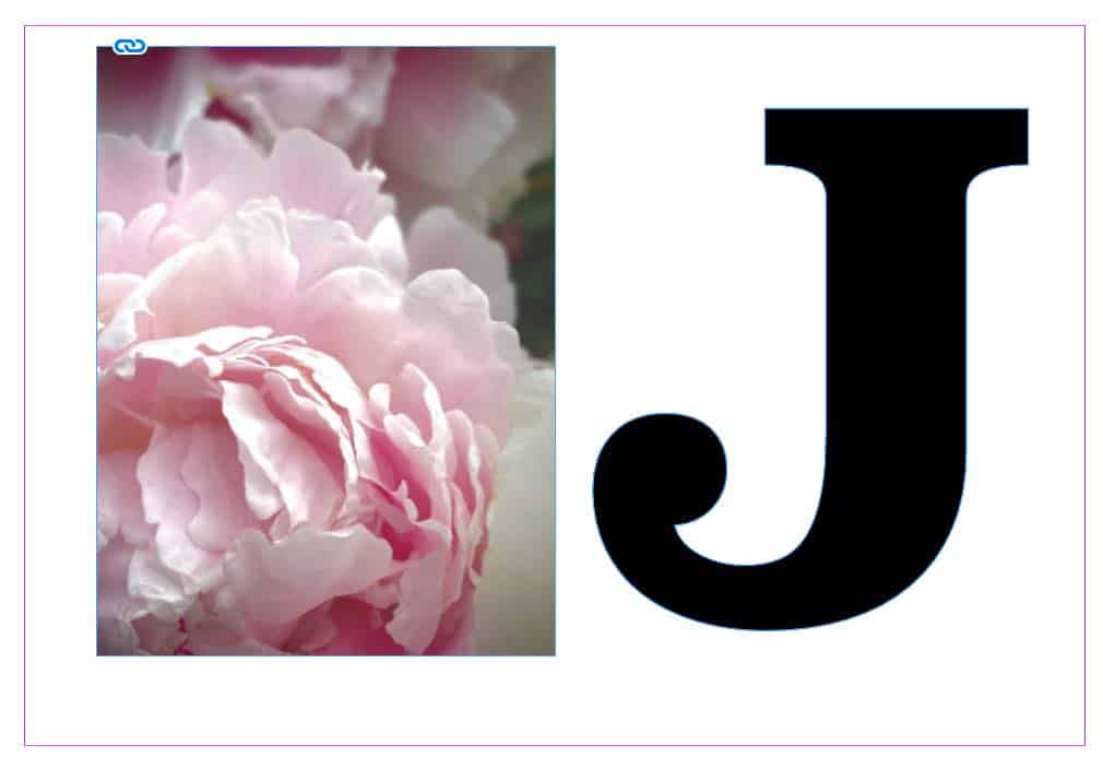 Bild på rosa pioner bredvid bokstaven J