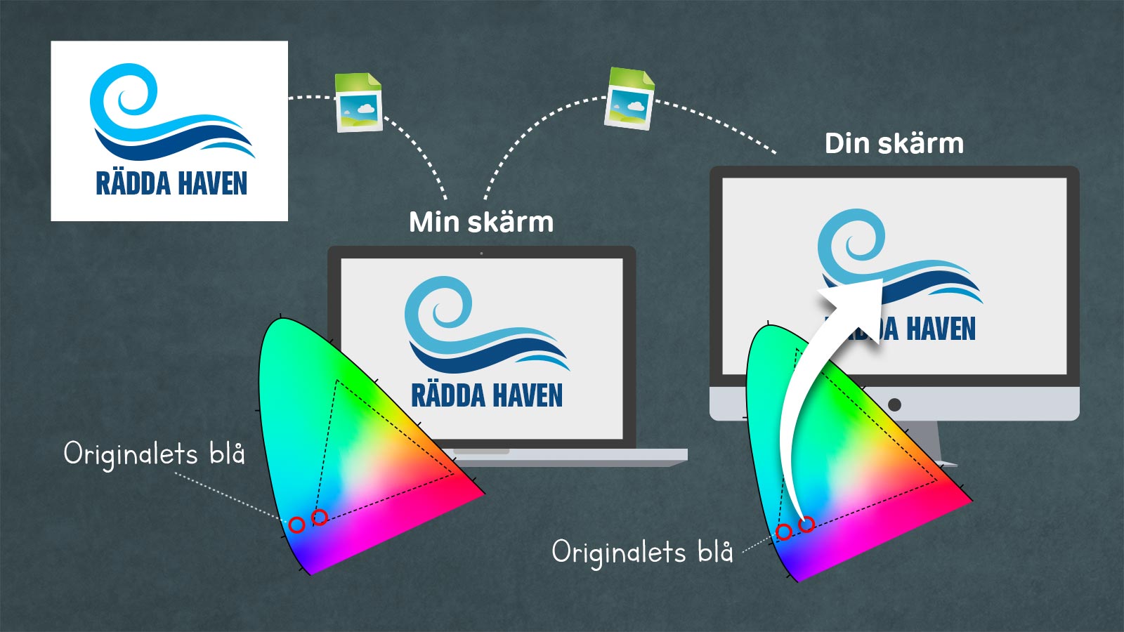 Två skärmar visar en blå logotyp som har fel färg eftersom en skärm har så liten färgrymd.
