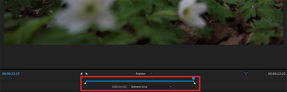 Exportera ut vald del från Premiere Pro