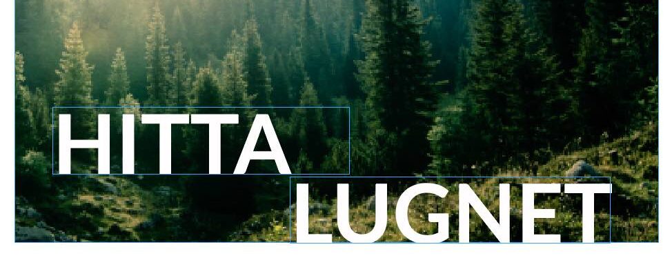 Bild på skog och orden "hitta lugnet"