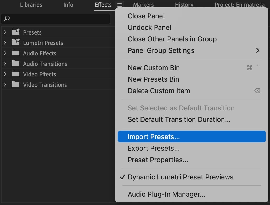 Alternativet Import Presets i Premiere Pro