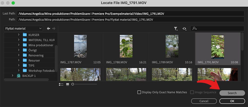 Lokalisera material till Premiere Pro-projekt