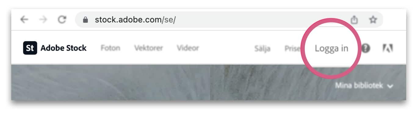 Skärmdump från Adobe Stock