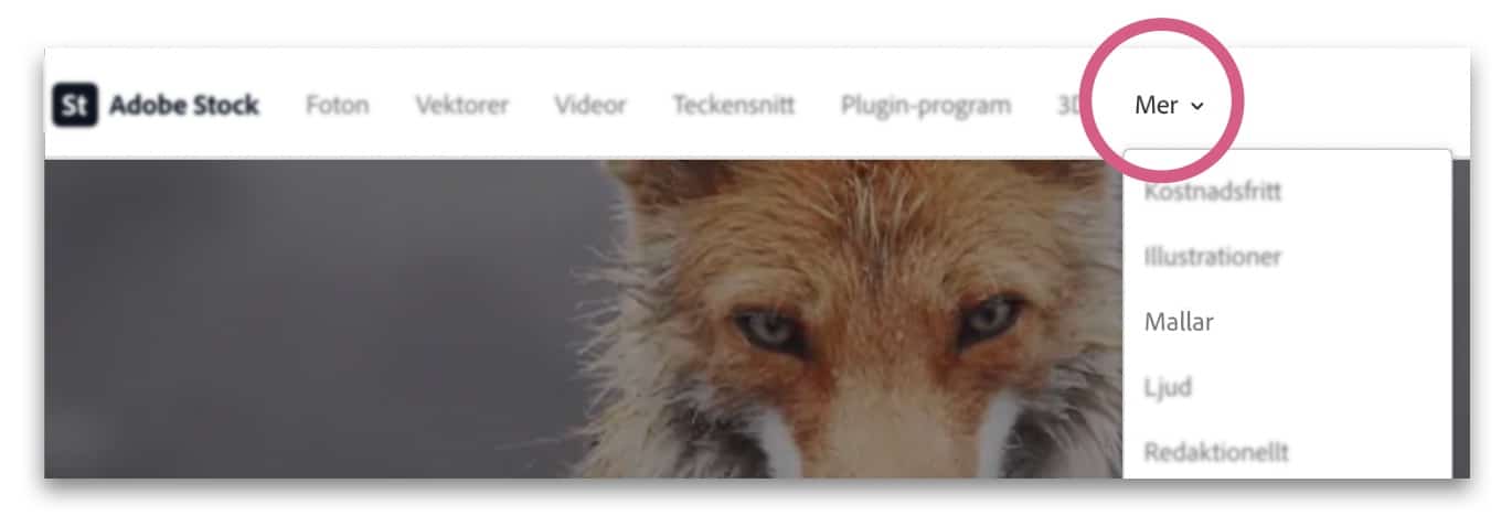 Skärmdump från Adobe Stock