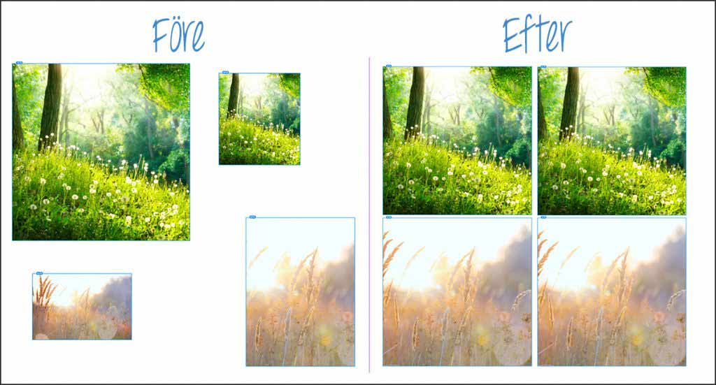 Samma bilder i olika storlek