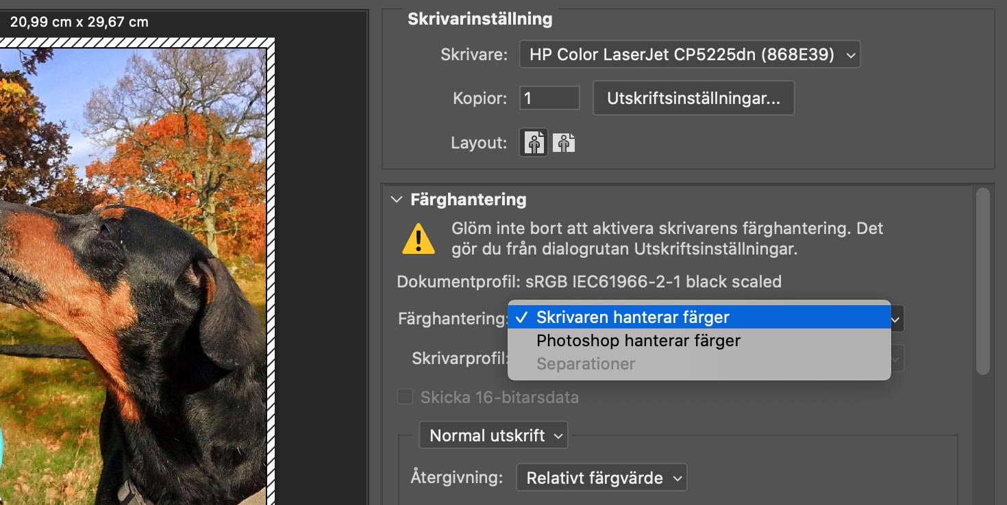 Dialogrutan för utskrift i Photoshop