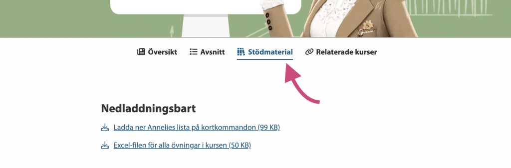 Skärmdump på videospelaren. Rubrik Stödmaterial är markerad i rosa.