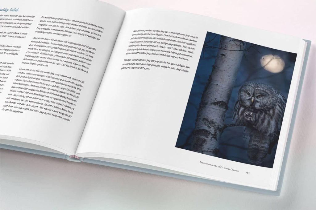 Boken Mästarnas goda råd uppslagen med bild på en uggla.