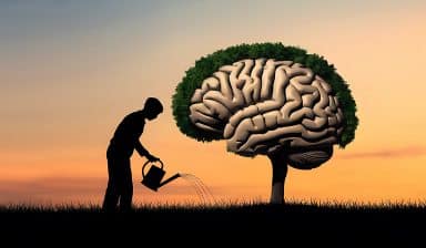 En person som vattnar ett träd i solnedgången, där trädkronan är formad som en mänsklig hjärna – en symbol för livslångt lärande och kontinuerlig utveckling.