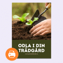 En persons hand försiktigt planterar små gröna plantor i fuktig jord med hjälp av en trädgårdsspade. Bakgrunden är en grön och frodig trädgård.