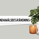 LAppar med GDPR-principer.