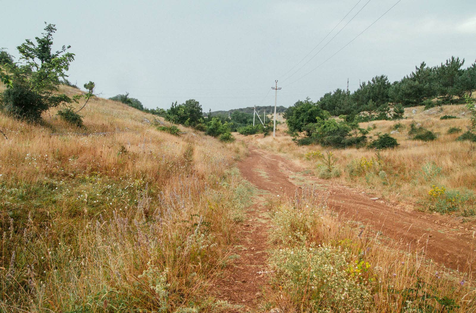 Valley of Shadow of Death 2015