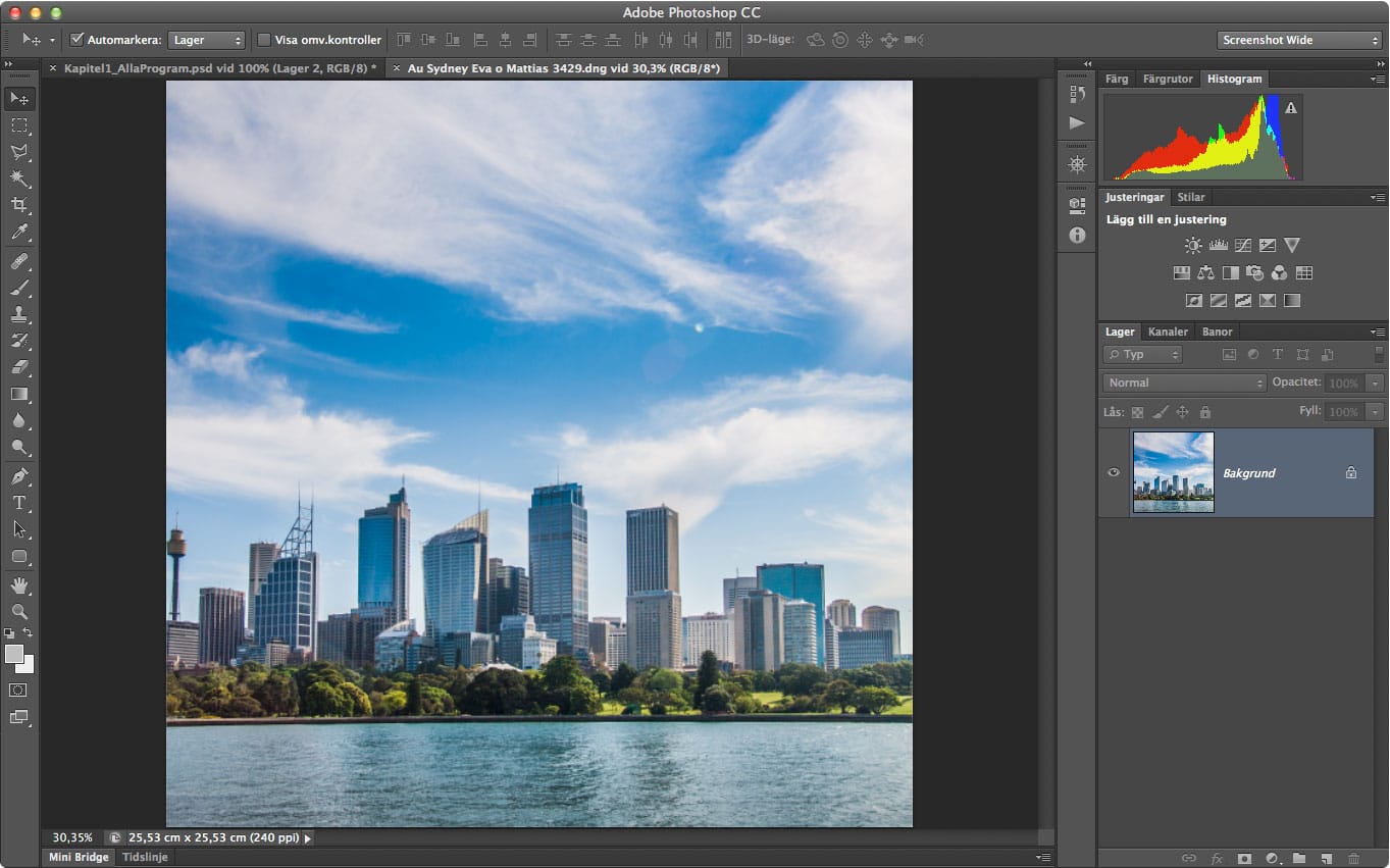 Adobe Photoshop CC