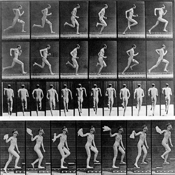 Rörelsebilder av Muybridge
