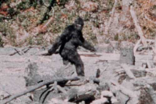 bigfoot_thumb