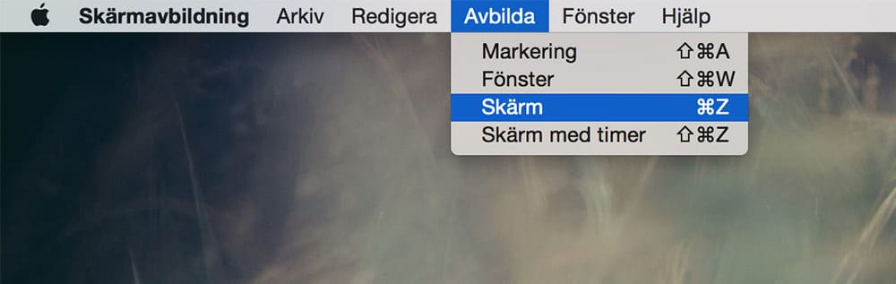 Ta skärmdump på en Mac