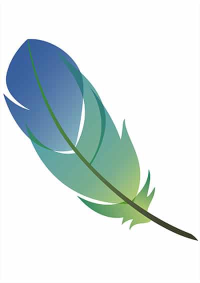 feather