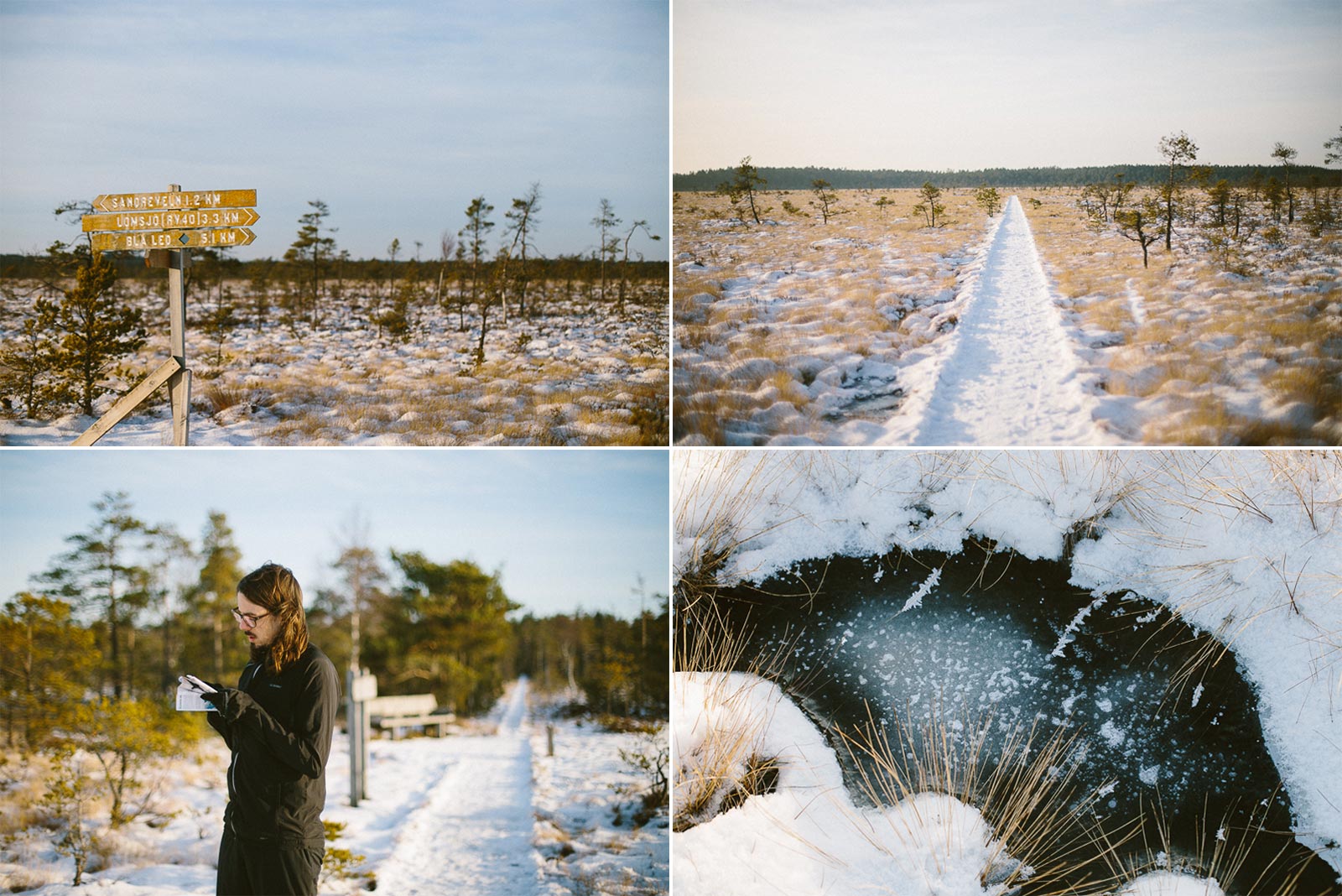 Vandring på Dumme Mosse