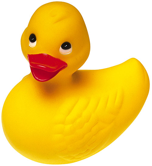 ducky.jpg