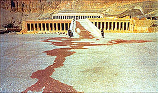 egypt_blood
