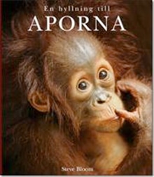 En hyllning till aporna av Steve Bloom