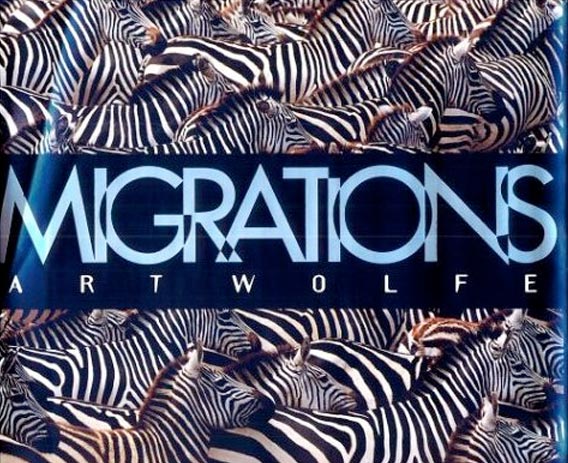 Migrations